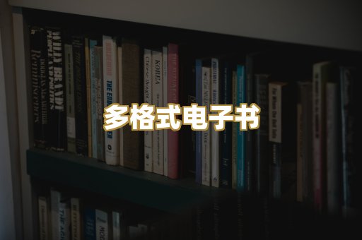 多格式电子书